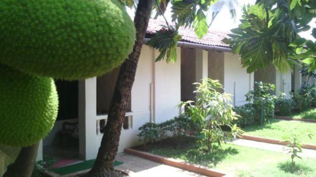 Dropadi Inn Palolem Exterior photo